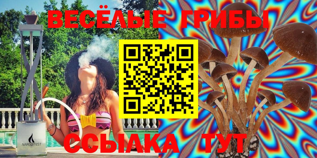 Дербент  Псилоцибиновые грибы GOLDEN TEACHER  Вход с VPN 